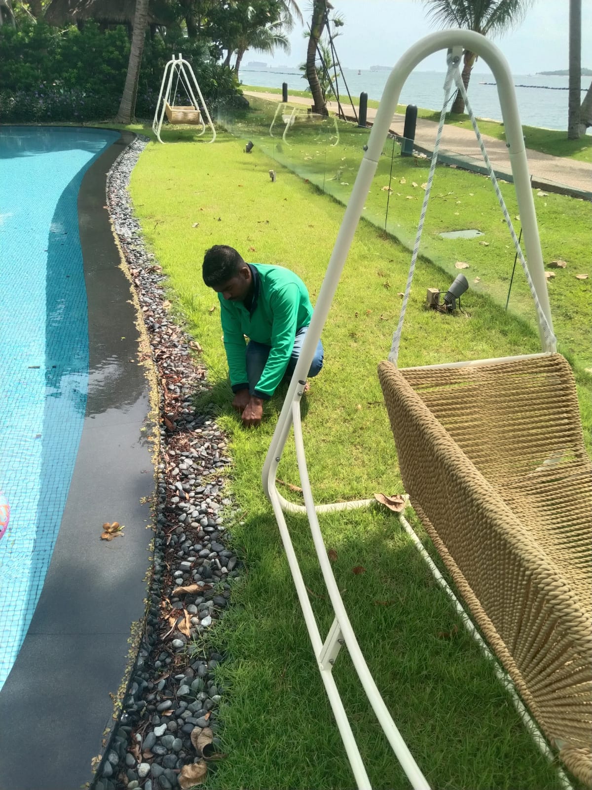 Garden Weed Removal